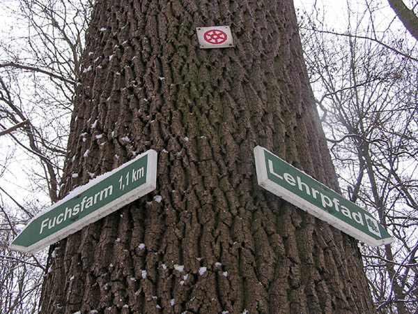 Schilder 3