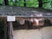 Arche 1