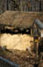 Arche 3