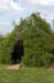 Weidenh&uuml;tte 5