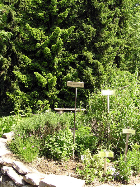 Kr&auml;uterspirale